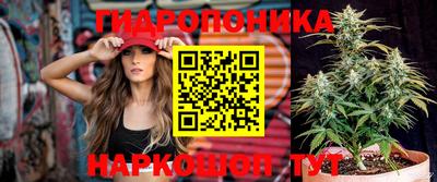 молекула духа Лесосибирск