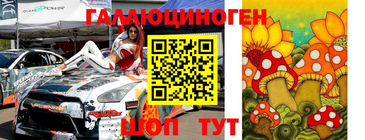 Псилоцибиновые грибы мицелий Изобильный